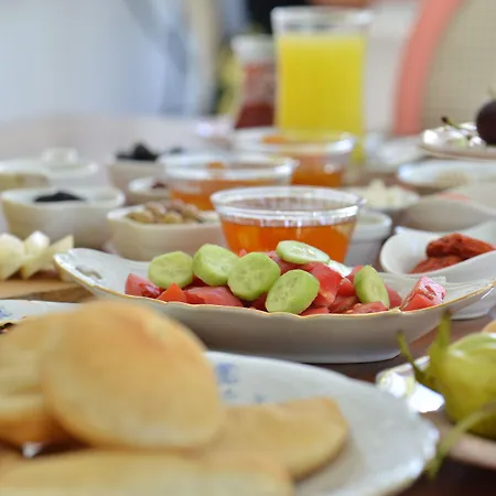 Hotell Vintage 4*