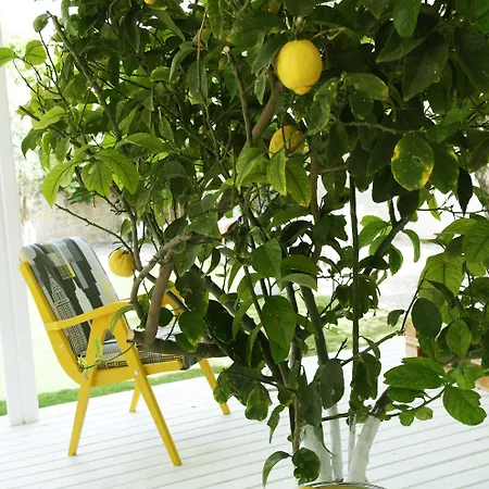 Vintage 4* Alaçatı