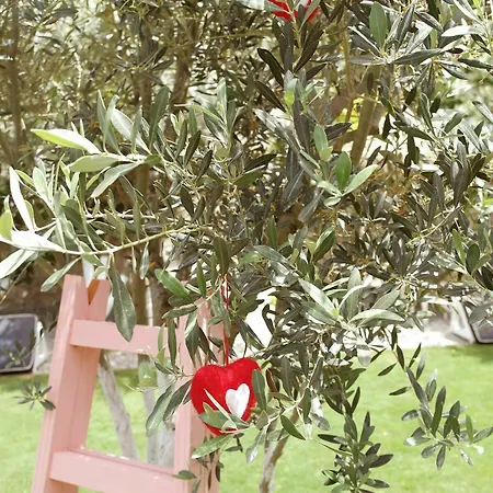Vintage מלון אלאקאטי