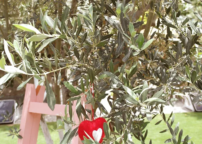 ホテル Vintage 4*