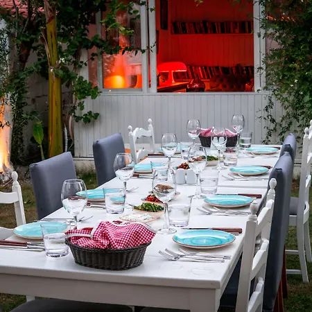 Vintage ألاتشاتي