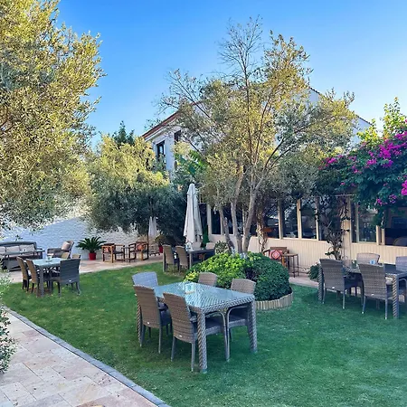 Vintage 4* ألاتشاتي