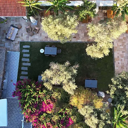 Vintage ألاتشاتي