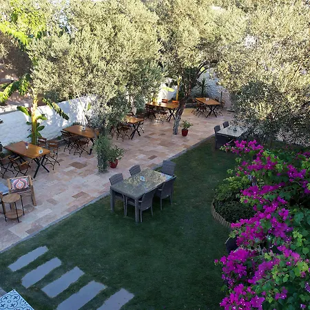 Vintage ألاتشاتي