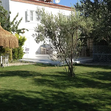 Vintage Hotel 4*