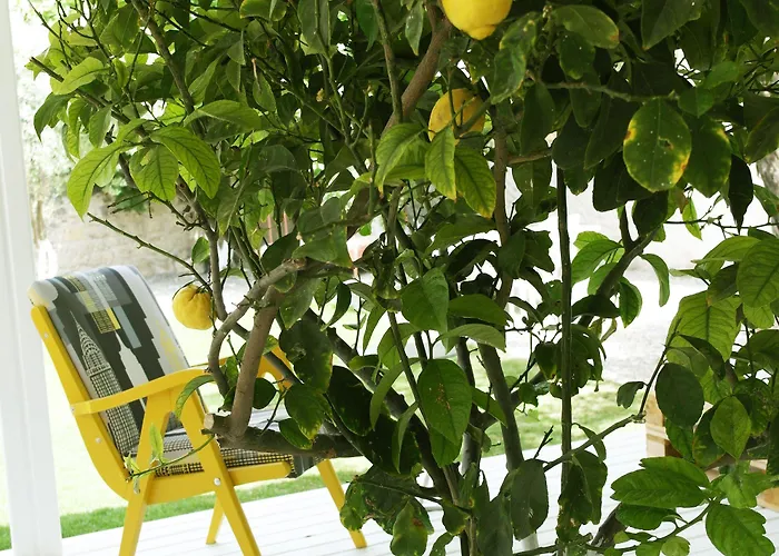 Vintage 4* Alaçatı